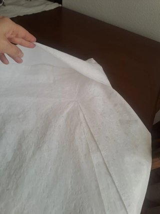 Falda blanca Purificación García