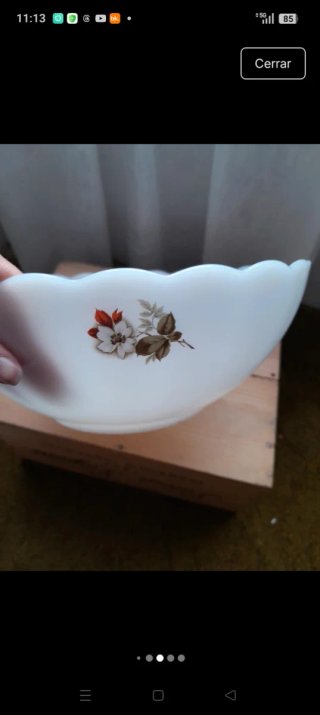 Ensaladeras vajilla Arcopal Flor de Almendro