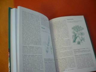PLANTAS MEDICINALES ENCICLOPEDIA FAMILIAR EVEREST