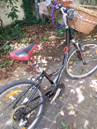 Bicicleta Paseo Mujer Specialized
