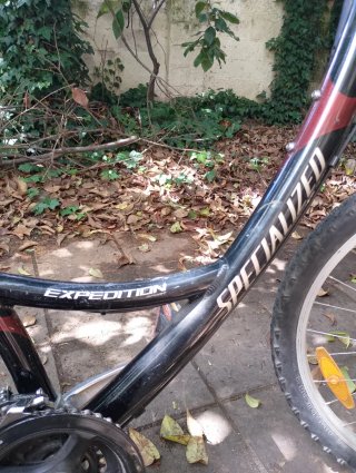 Bicicleta Paseo Mujer Specialized