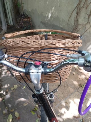 Bicicleta Paseo Mujer Specialized