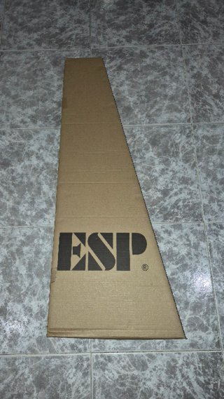 Guitarra Eléctrica ESP LTD MT-130 Orange