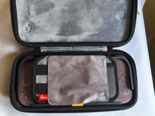 Savage Raven StandGrip Bundle Switch 2