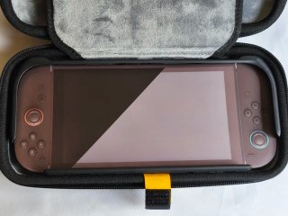 Savage Raven StandGrip Bundle Switch 2