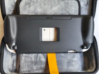 Savage Raven StandGrip Bundle Switch 2