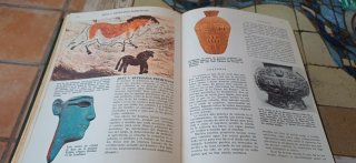 Enciclopedia Ciencias Naturales