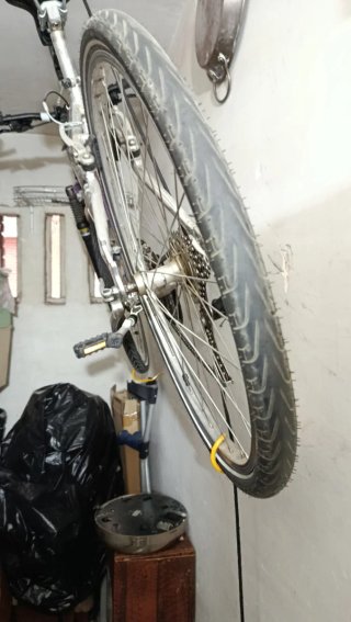 Bicicleta de Montaña