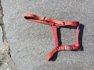 Cabezada caballo roja