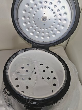 Arrocera y Vaporera Russell Hobbs 500W