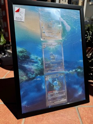 Quadro Pokemon Squirtle Wartortle Blastoise