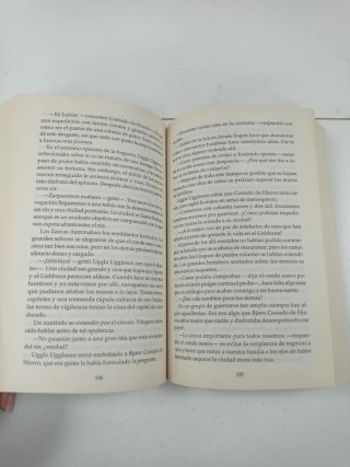 Los hijos del rey vikingo. Saqueo
