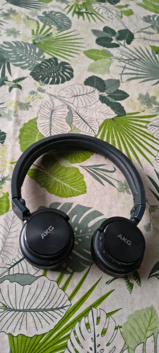 AKG Y45 BT Auriculares Bluetooth Plegables