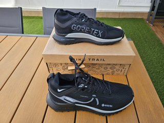 Nike Pegasus Trail 4 GTX - T. 42 (Leer detalles)