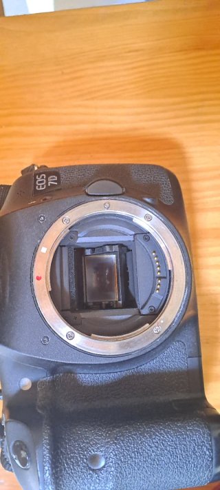 Canon EOS 7D Cámara Réflex Digital