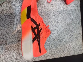 Asics meta speed sky