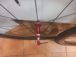 Ruedas de carbono Continental GATORSKIN