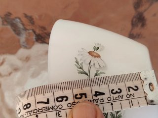 4 boles  vajilla Arcopal flores margaritas