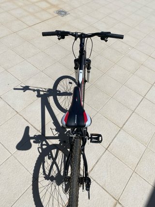 Bicicleta de Montaña speed addict