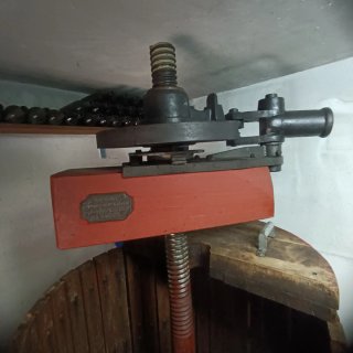 Prensa para bodega, vino, uvas