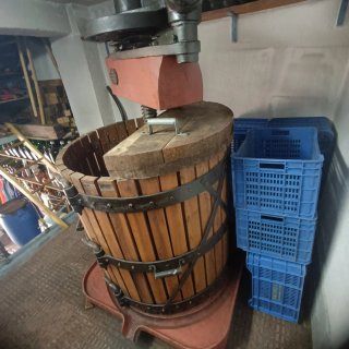 Prensa para bodega, vino, uvas
