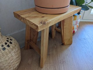 Conjunto de Cactus con Taburetes decorativos
