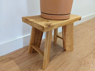 Conjunto de Cactus con Taburetes decorativos