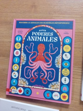Lote 5x25€ Infantil Juvenil