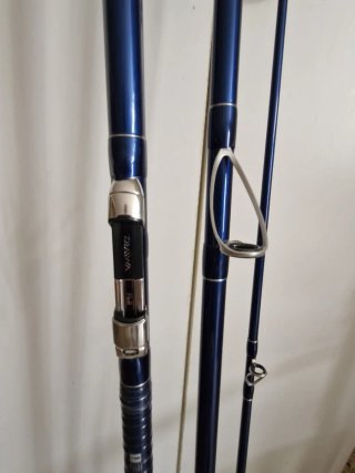 Daiwa Prime Caster S33-425 Caña Pesca