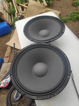 Pareja conos DAS 15MI4 15 400W RMS