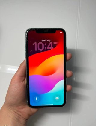 iPhone 11 Verde