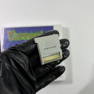 Terraria Nintendo 3DS