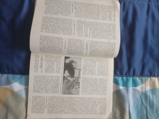 Revista profesional del cuerpo GUARDIA CIVIL