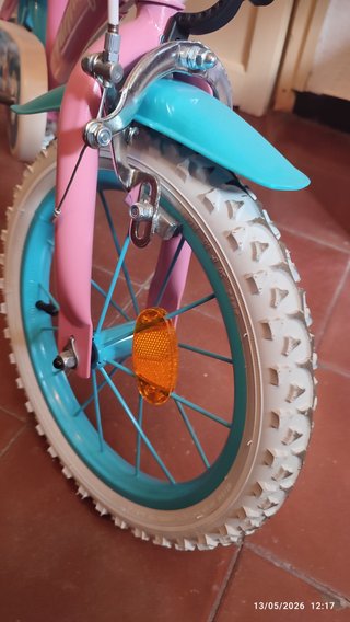 Bicicleta Infantil Fantasy con Ruedas de Aprendiza
