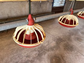 Comederos y bebederos para granja