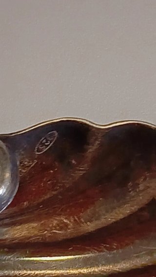 Piccola conchiglia in argento 925