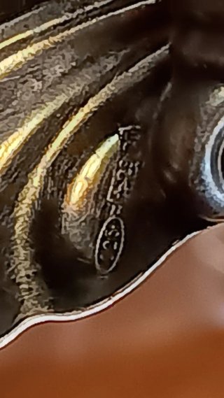 Piccola conchiglia in argento 925