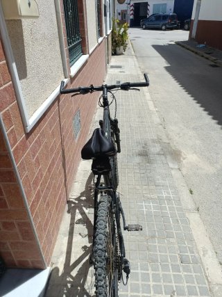 Bicicleta de Montaña