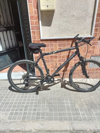 Bicicleta de Montaña