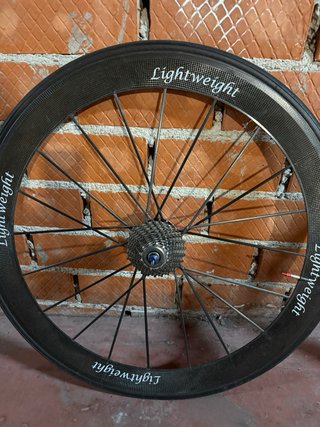 Ruedas Lightweight para zapata