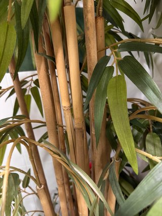 Planta artificial bambú