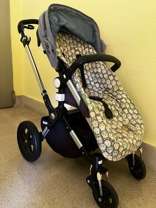 Bugaboo Camaleon + Bee + Accesorios y Capazo