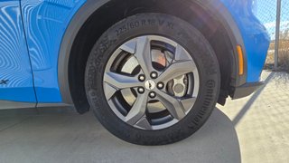 Mustang Mach-E Extended Range 294cv 99kWh