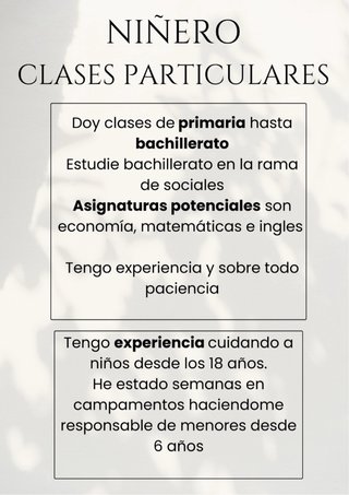 Niñero y clases particulares