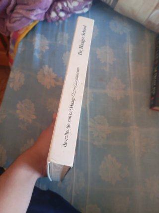 libro De Haagse School
