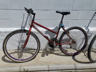 Bicicletas de  Montaña una Azul y otra roja