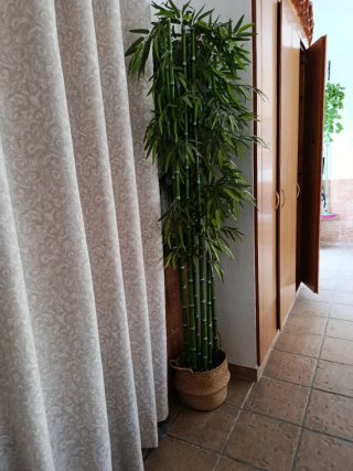 Planta de Bambú Artificial 8 Piezas