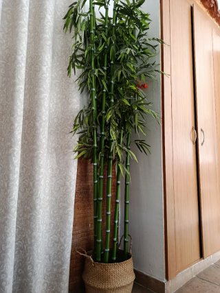 Planta de Bambú Artificial 8 Piezas
