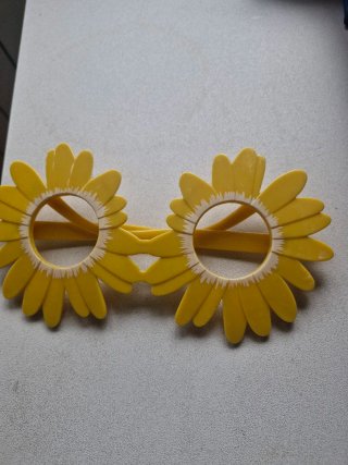 Gafas divertidas de girasol