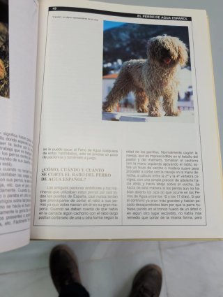Las Razas Caninas Españolas
